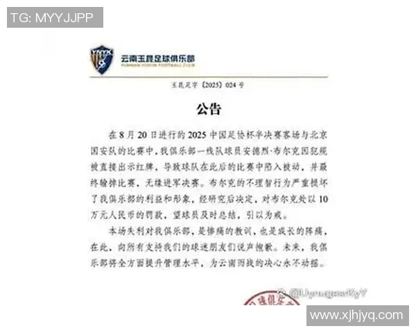 足球明星因红牌判罚罚款金额是多少解析